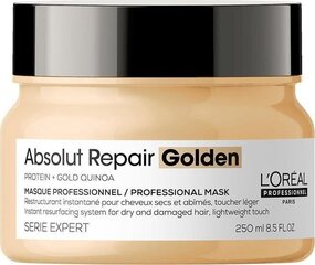 Taastav juuksemask L'Oreal Professionnel Serie Expert Absolut Repair Golden 250 ml hind ja info | Juuksemaskid, õlid ja seerumid | hansapost.ee