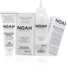 Püsivärv juustele Noah 6.66 Red Dark Blond 140 ml hind ja info | Noah Parfüümid, lõhnad ja kosmeetika | hansapost.ee