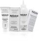 Püsivärv juustele Noah 1.0 Black 140 ml цена и информация | Juuksevärvid | hansapost.ee