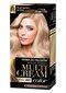 Juuksevärv Joanna Multi Cream Color 100 ml, 32 Platinum Blond цена и информация | Juuksevärvid | hansapost.ee