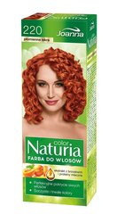 Краска для волос Joanna Naturia Color, 220 огненная искра цена и информация | Краска для волос | hansapost.ee