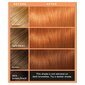 Geel juuksevärv L'Oreal Colorista, #Copper hind ja info | Juuksevärvid | hansapost.ee