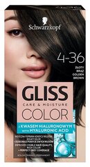 Juuksevärv Schwarzkopf Gliss Color 4-36 KULDPRUUN цена и информация | Краска для волос | hansapost.ee