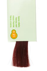 Стойкая краска для волос Martis Respect, №21 «Хна с красным оттенком» цена и информация | Краска для волос | hansapost.ee