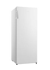 Hisense FV191N4AW1 цена и информация | Hisense Холодильники и морозилки | hansapost.ee
