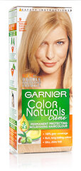 Kauapüsiv juuksevärv Garnier Color Naturals, Natural Extra Light Blond цена и информация | Краска для волос | hansapost.ee