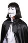 Mask Vendetta Guy Fawkes, valge цена и информация | Kostüümid ja maskid | hansapost.ee