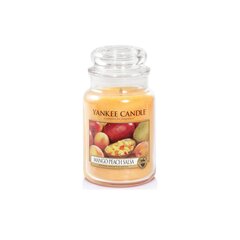 Ароматическая свеча Yankee Candle Mango Peach Salsa 623 г цена и информация | Подсвечники, свечи | hansapost.ee