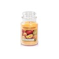 Aromaatne küünal Yankee Candle Mango Peach Salsa 623 g
