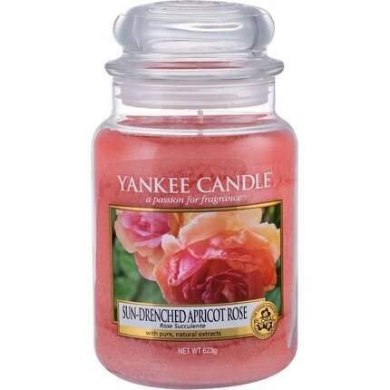Lõhnaküünal Yankee Candle Sun-Drenched Apricot Rosei 623 g цена и информация | Küünlad, küünlajalad | hansapost.ee