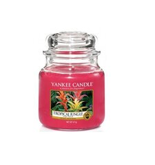 Lõhnaküünal Yankee Candle Tropical Jungle 411 g hind ja info | Küünlad, küünlajalad | hansapost.ee