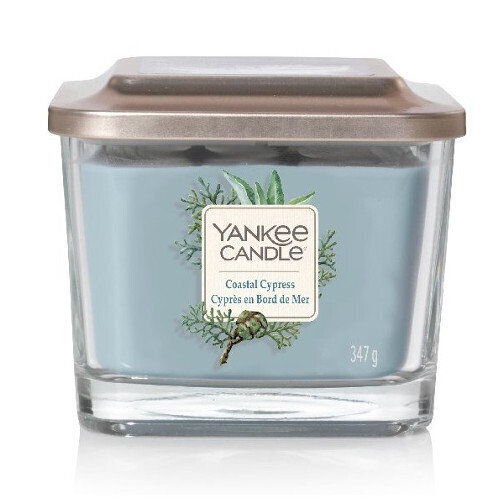 Lõhnaküünal Yankee Candle Coastal Cypress 347 g цена и информация | Küünlad, küünlajalad | hansapost.ee