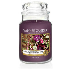 Lõhnaküünal Yankee Candle Moonlit Blossoms, 623 g hind ja info | Küünlad, küünlajalad | hansapost.ee