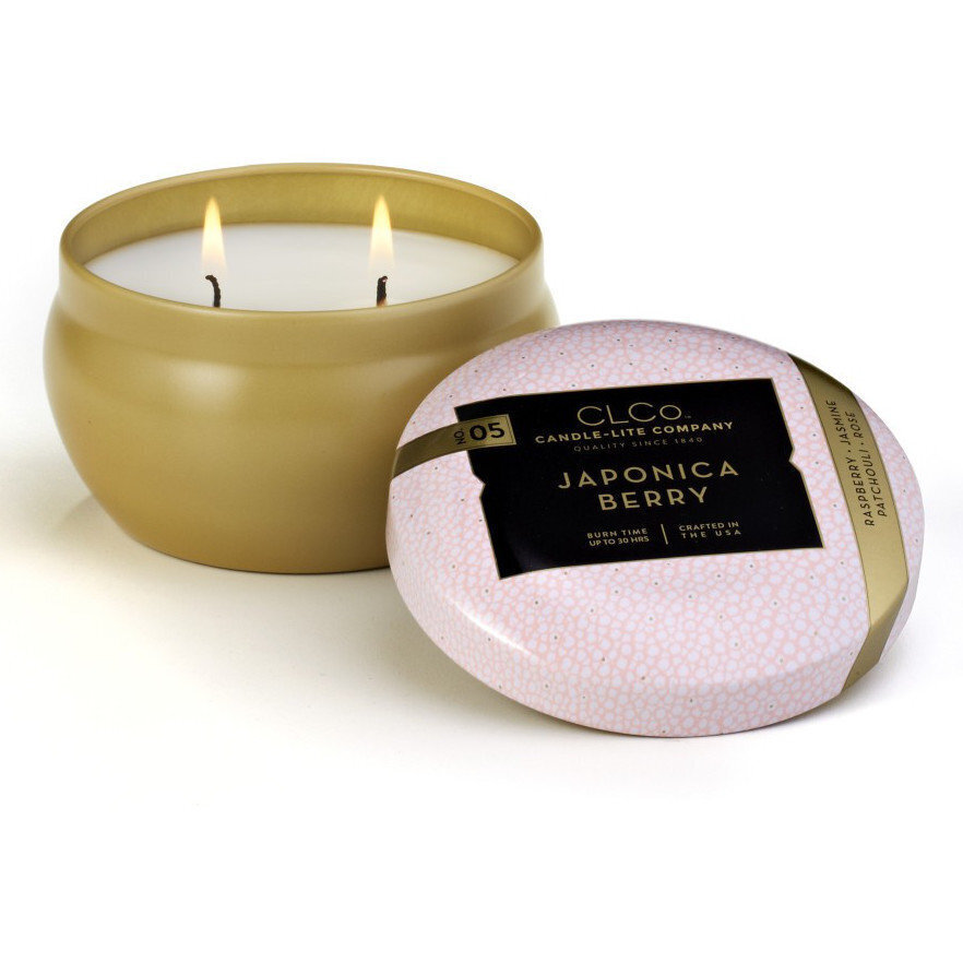 Lõhnaküünal Candle-Lite Japonica Berry, 177 g цена и информация | Küünlad, küünlajalad | hansapost.ee