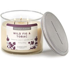 Candle-Lite ароматическая свеча с крышечкой Wild Fig & Tobac, 418 г цена и информация | Подсвечники, свечи | hansapost.ee