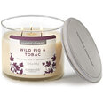 Lõhnaküünal kaanega Candle-Lite Wild Fig & Tobac, 418 g
