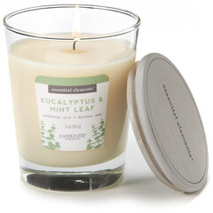 Lõhnaküünal kaanega Candle-Lite Eucalyptus & Mint Leaf, 255 g hind ja info | Küünlad, küünlajalad | hansapost.ee