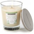 Candle-Lite ароматическая свеча с крышечкой Eucalyptus & Mint Leaf, 255 г