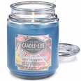Lõhnaküünal kaanega Candle-Lite Autumn Flannel, 510 g