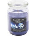 Lõhnaküünal kaanega Candle-Lite Exotic Midnight Petals, 510 g