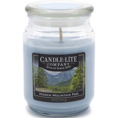 Candle-lite ароматическая свеча Everyday Hidden Mountain Pass цена и информация | Подсвечники, свечи | hansapost.ee