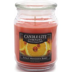Candle-lite ароматическая свеча Everyday Sunlit Mandarin Berry цена и информация | Candle-lite Мебель и домашний интерьер | hansapost.ee
