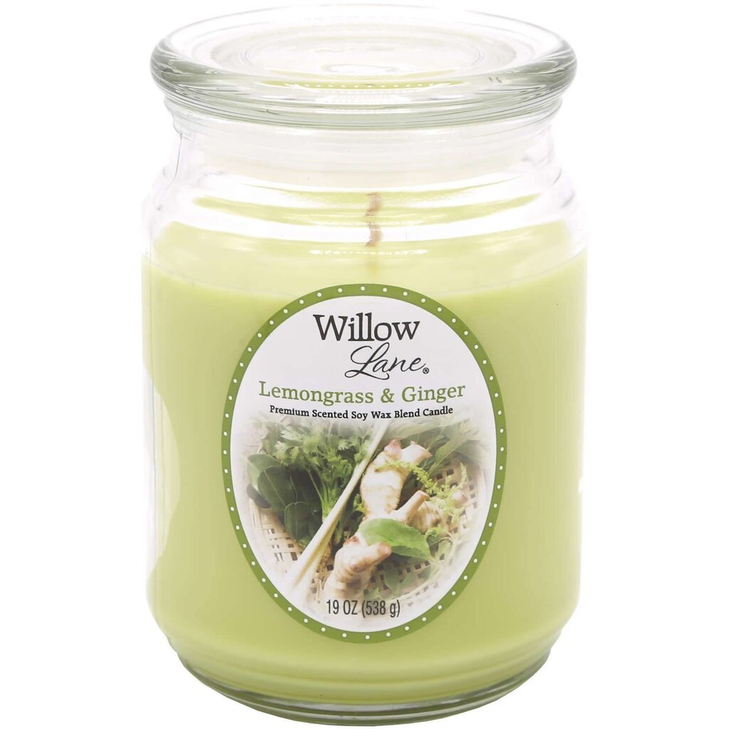 Candle-lite lõhnaküünal Willow Lane Lemongrass & Ginger hind ja info | Küünlad, küünlajalad | hansapost.ee