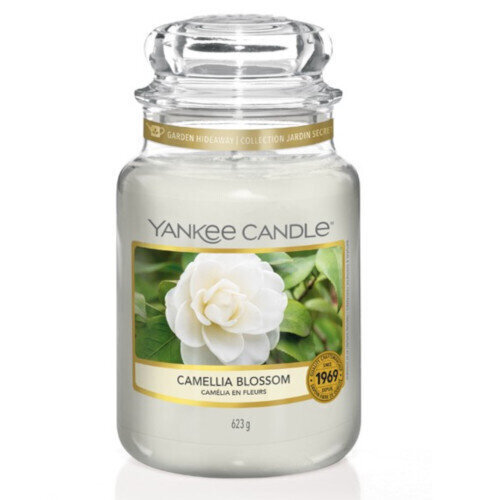 Lõhnaküünal Yankee Candle Camellia Blossom 623 g цена и информация | Küünlad, küünlajalad | hansapost.ee