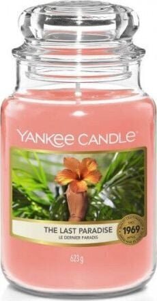 Lõhnaküünal Yankee Candle the Last Paradise 623g цена и информация | Küünlad, küünlajalad | hansapost.ee