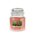 Ароматическая свеча Yankee Candle the Last Paradise 411 г