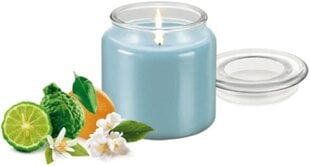 Lõhnaküünal Tescoma Fancy Home, 410 g hind ja info | Tescoma Sisustuskaubad | hansapost.ee