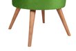 Tumba Artie Boyce, roheline цена и информация | Kott-toolid, tumbad, järid | hansapost.ee