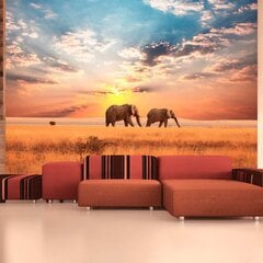 Fototapeet - African savanna elephants hind ja info | Fototapeedid | hansapost.ee