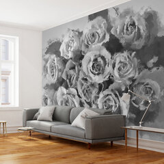 Fototapeet - A dozen roses цена и информация | Фотообои | hansapost.ee