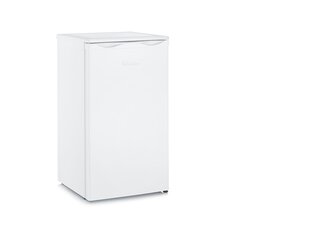 Severin VKS 8805 цена и информация | Холодильники | hansapost.ee