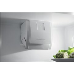 Electrolux LRS4DF18S цена и информация | Холодильники | hansapost.ee