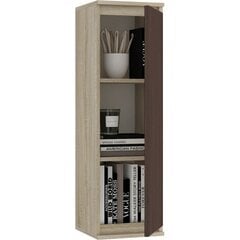 Витрина-шкафчик NORE CLP W30, дубовый/темно-коричневый цвет цена и информация | NORE Мебель для гостиной | hansapost.ee