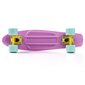 Rula Meteor Pennyboard, roosa цена и информация | Rulad | hansapost.ee