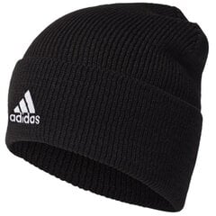 Шапка для мужчин Adidas Tiro Woolie M GH7241, черная цена и информация | Мужские шарфы, шапки, перчатки | hansapost.ee