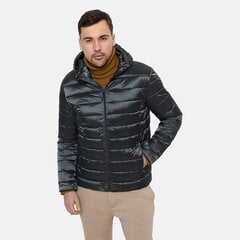 Huppa мужская куртка осень-зима STEVO 2, серый 907157465 цена и информация | Мужские куртки | hansapost.ee