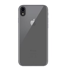 Apple iPhone X/Xs Soft Cover By Big Ben Transparent hind ja info | Telefonide kaitsekaaned ja -ümbrised | hansapost.ee