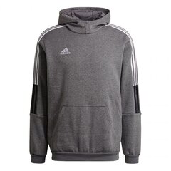 Meeste dressipluus Adidas, hall цена и информация | Мужские толстовки | hansapost.ee