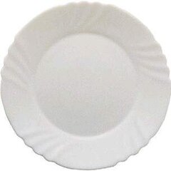 Тарелка EBRO цена и информация | Посуда, тарелки, обеденные сервизы | hansapost.ee