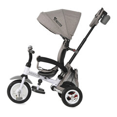 Трехколесный велосипед Lorelli Moovo Air, Grey Luxe цена и информация | Lorelli Товары для детей и младенцев | hansapost.ee
