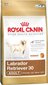 Royal Canin Labrador Retriever Adult, 12 kg hind ja info | Koerte kuivtoit ja krõbinad | hansapost.ee