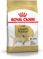 Royal Canin Labrador Retriever Adult, 12 kg цена и информация | Koerte kuivtoit ja krõbinad | hansapost.ee