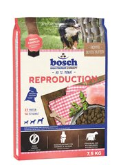 Bosch Petfood Reproduction (High Premium) 7,5kg price and information | Koerte kuivtoit ja krõbinad | hansapost.ee