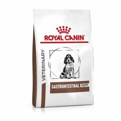 Kuivtoit koertele Royal Canin paremaks seedimiseks Dog gastro intestinal junior, 2,5 kg цена и информация | Сухой корм для собак | hansapost.ee