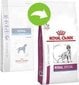Royal Canin neeruprobleemidega koertele Dog renal, 2 kg hind ja info | Koerte kuivtoit ja krõbinad | hansapost.ee