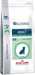 Royal Canin с проблемами гигиены полости рта Neutered Adult Small Dog, 3,5 кг цена и информация | Royal Canin Для собак | hansapost.ee